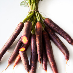 Balsamicomöhren, violette Karotten, Urkarotten, Balsamicoessig, ursprünglich